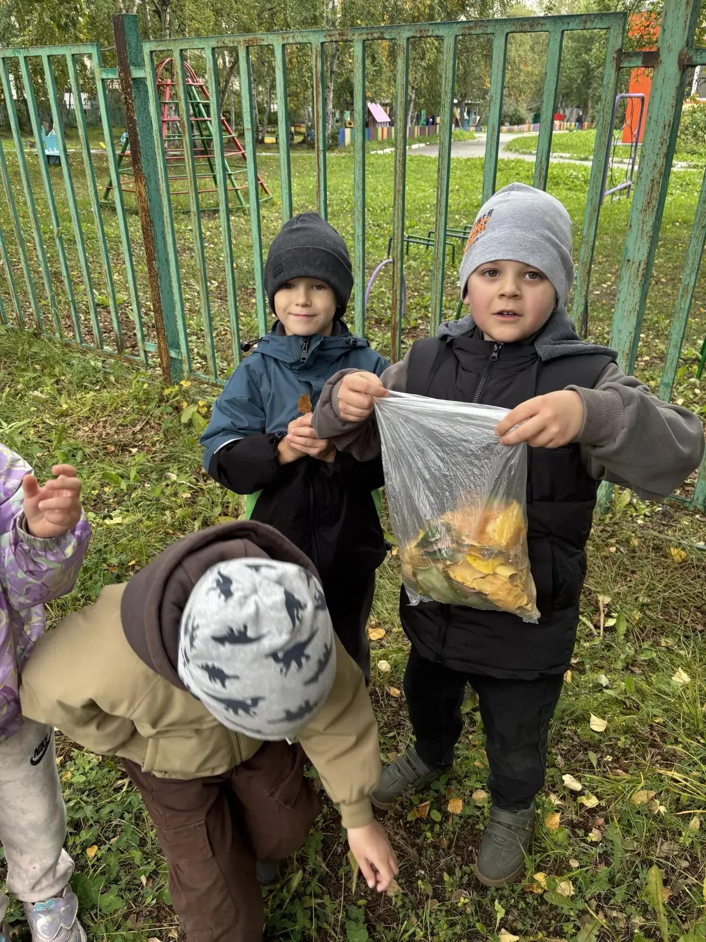 Подготовительная группа вышла на охоту... за осенними листьями! 🍁