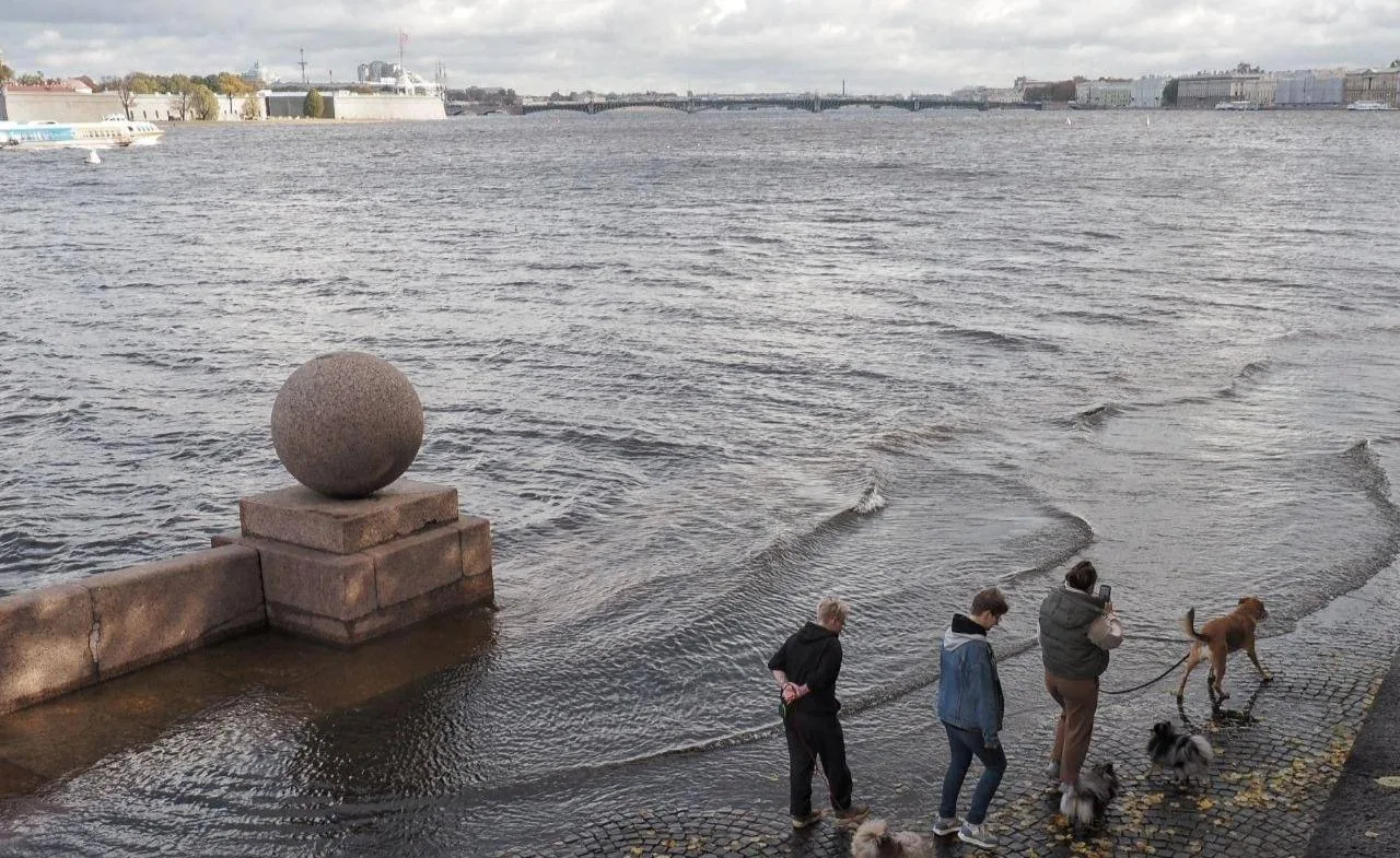 🌊Уровень воды в Неве превысил норму.