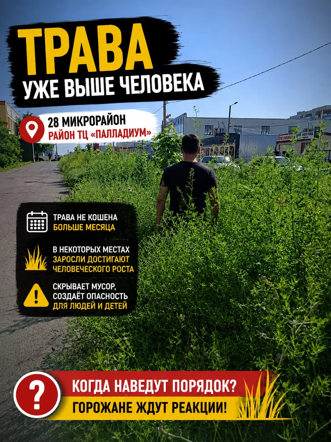🌿 ТРАВА УЖЕ ВЫШЕ ЧЕЛОВЕКА

В 28 микрорайоне рядом с ТЦ «Палладиум» трава уже больше месяца ждёт пок