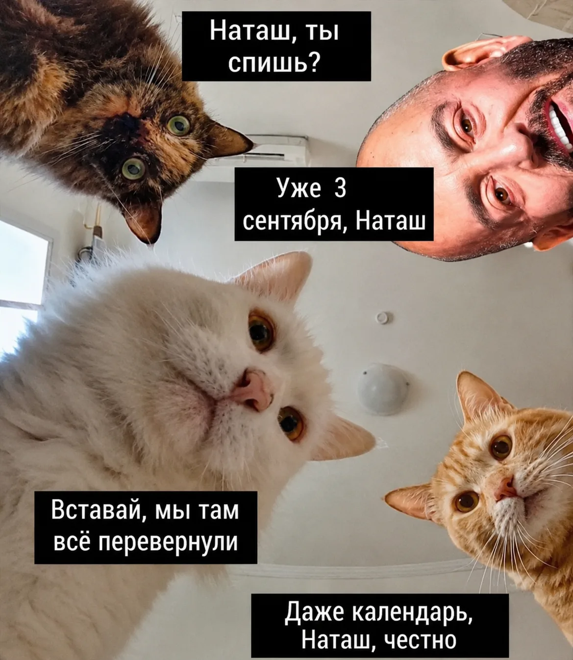 Доброе утро!