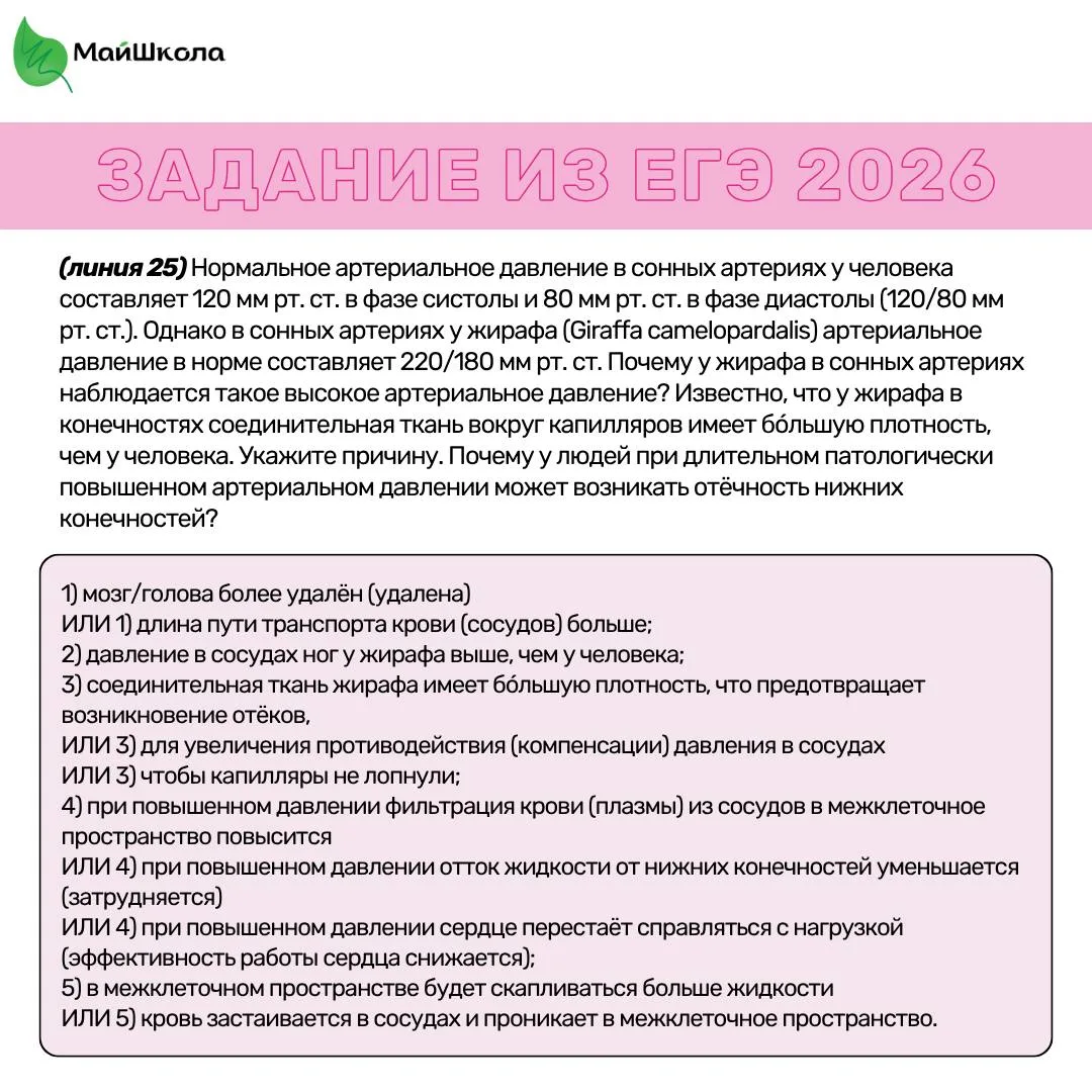 Задание с реального ЕГЭ 2026 на физиологию