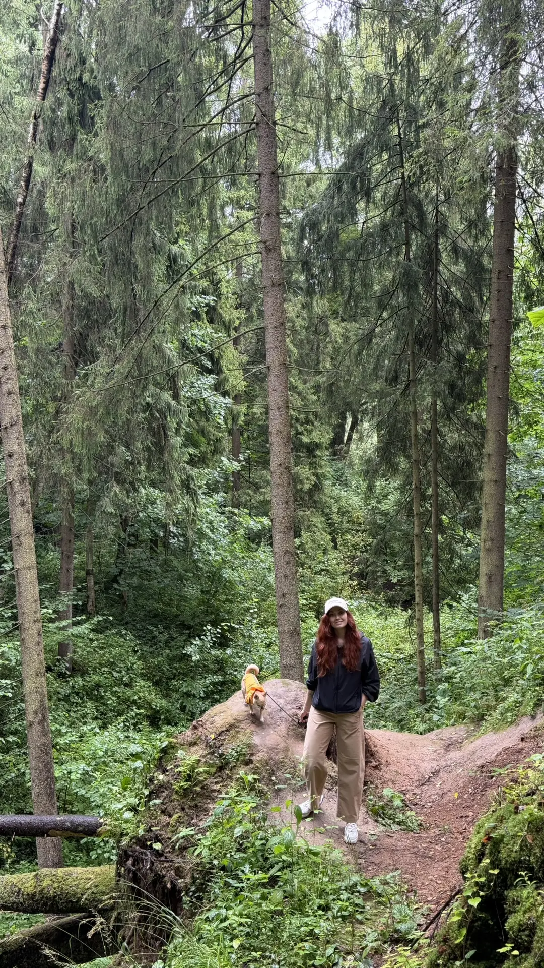 С Генри встретили в лесу белку 🐿️
Такие они уже хорошенькие стали, мех погуще и хвостики снова пуши