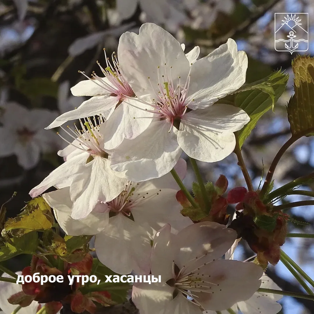 🌤Сегодня пасмурно, возможен дождь  🌙Ночью +13°  🌟Днем +13...+17°  💨Ветер ЮВ легкий с порывами до 4 м