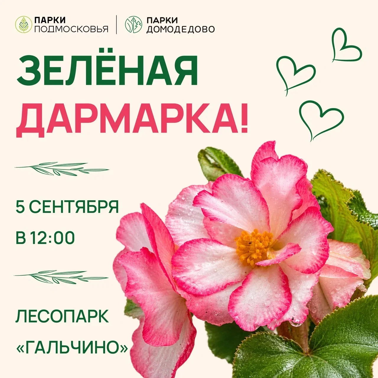 🌿 ДАРМАРКА РАСТЕНИЙ 🌿