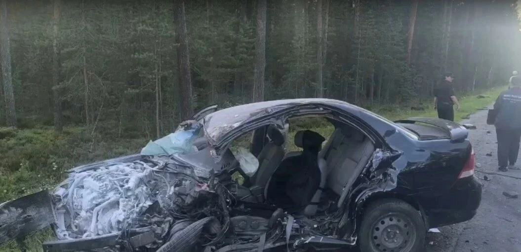 Пьяный водитель устроил смертельное ДТП в Приозерском районе

В Приозерском районе Ленинградской обл