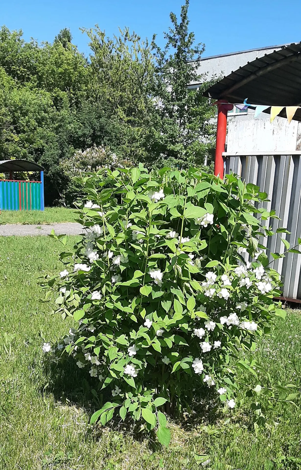 В детском саду кипит работа! Что же мы делаем? Ответим на ваш вопрос. Мы преобразили ул...