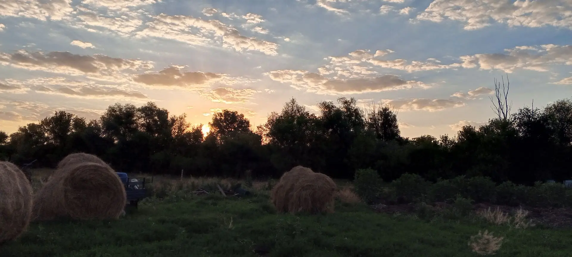 Доброе утро 🌞
