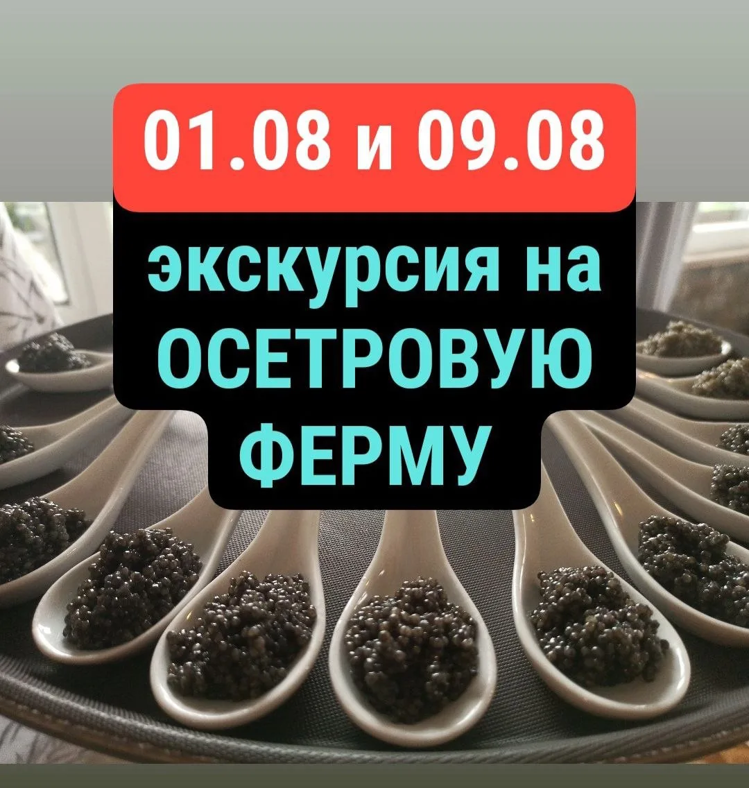 Калининградцев и гостей города приглашают на новую экскурсию «Икра, улитки, осетрина» с дегустацией 