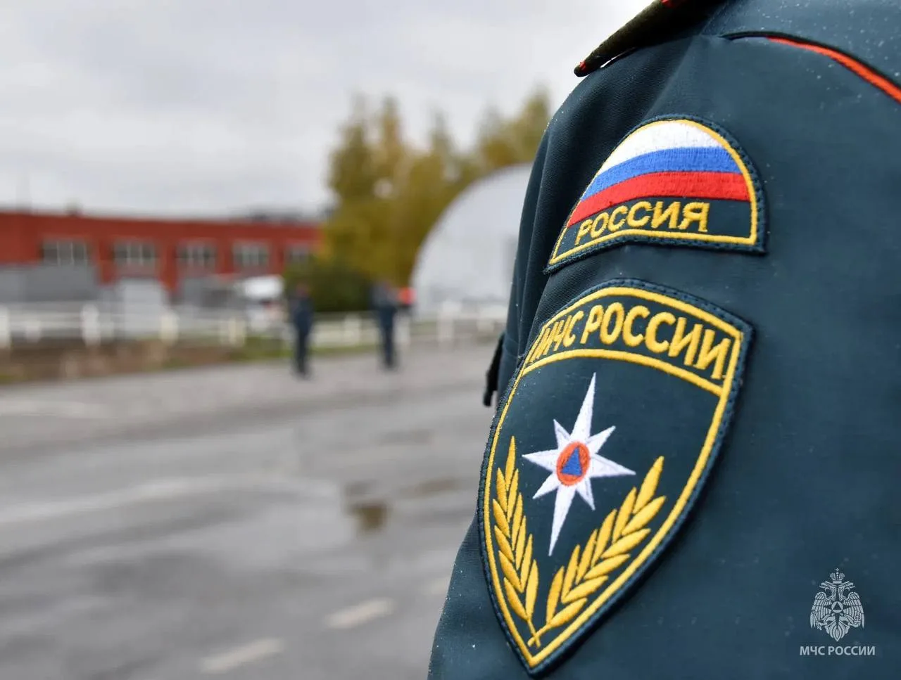 20-летние девушки из Новосибирска и Кировской области шли к водопаду Кейва, но сошли с ...