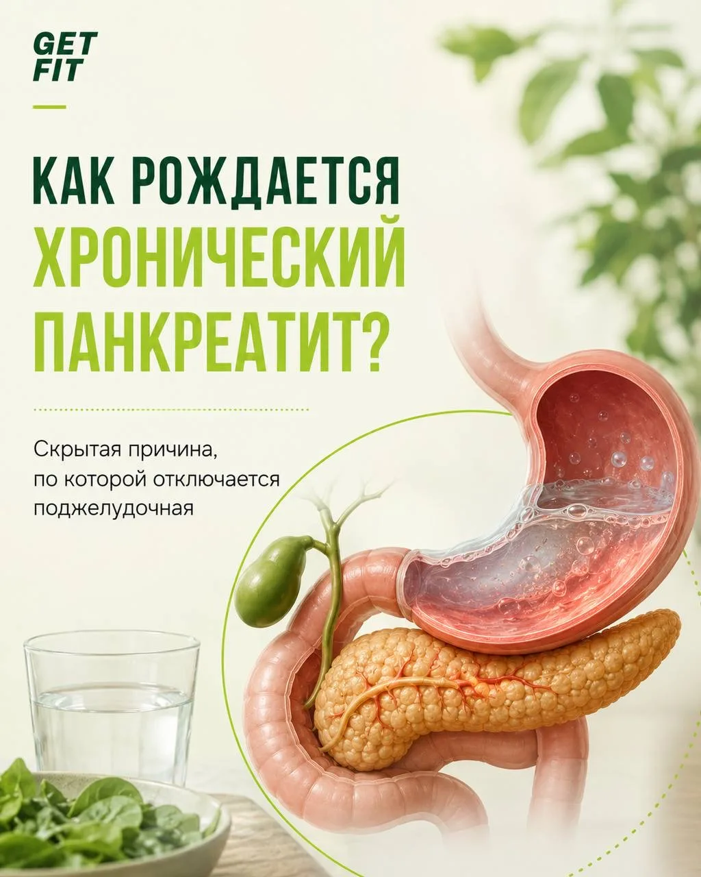🔴Как рождается хронический панкреатит и почему отключается поджелудочная?  Подробный разбор того, ка