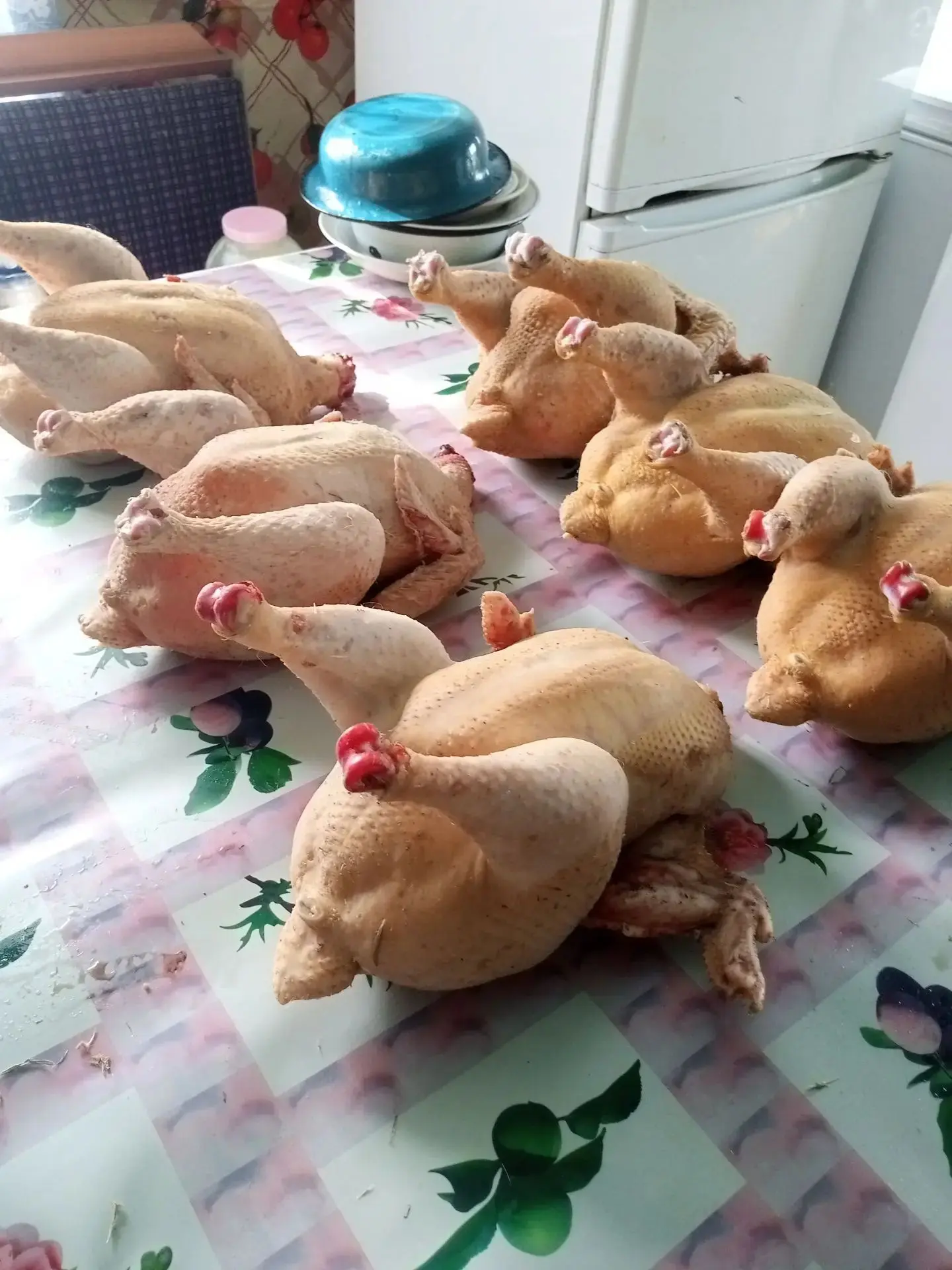 Куры бройлеры