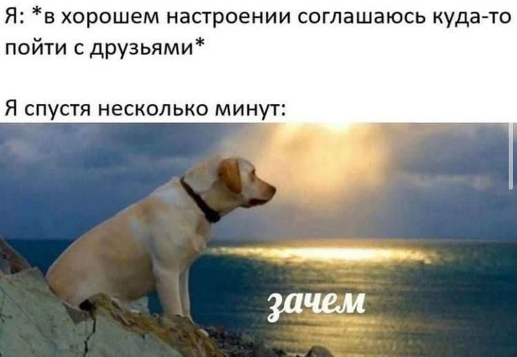 😂😂😂