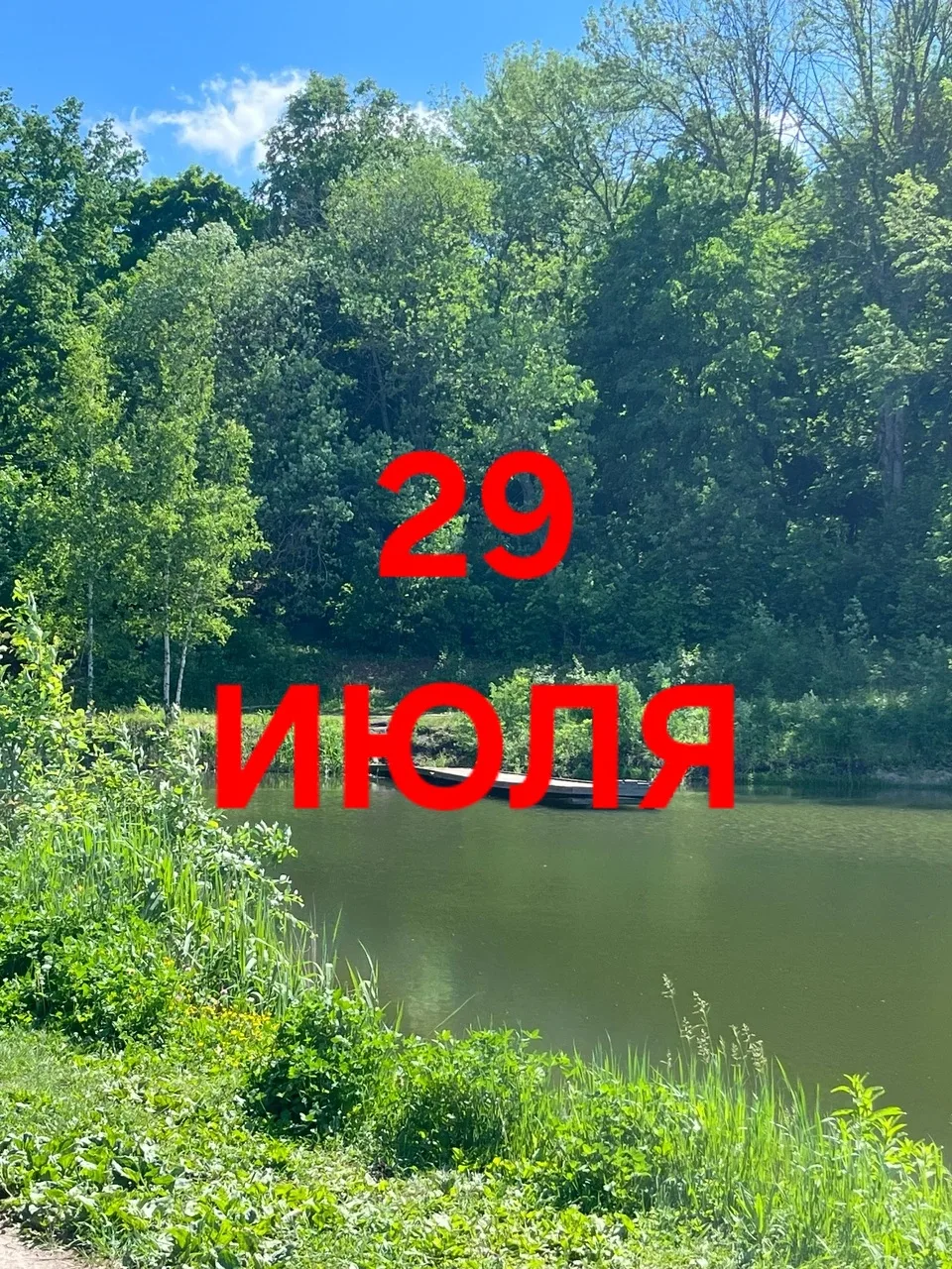 29 июля: энергия саморазвития и личностного роста, открывает новый цикл❤️ 🌸