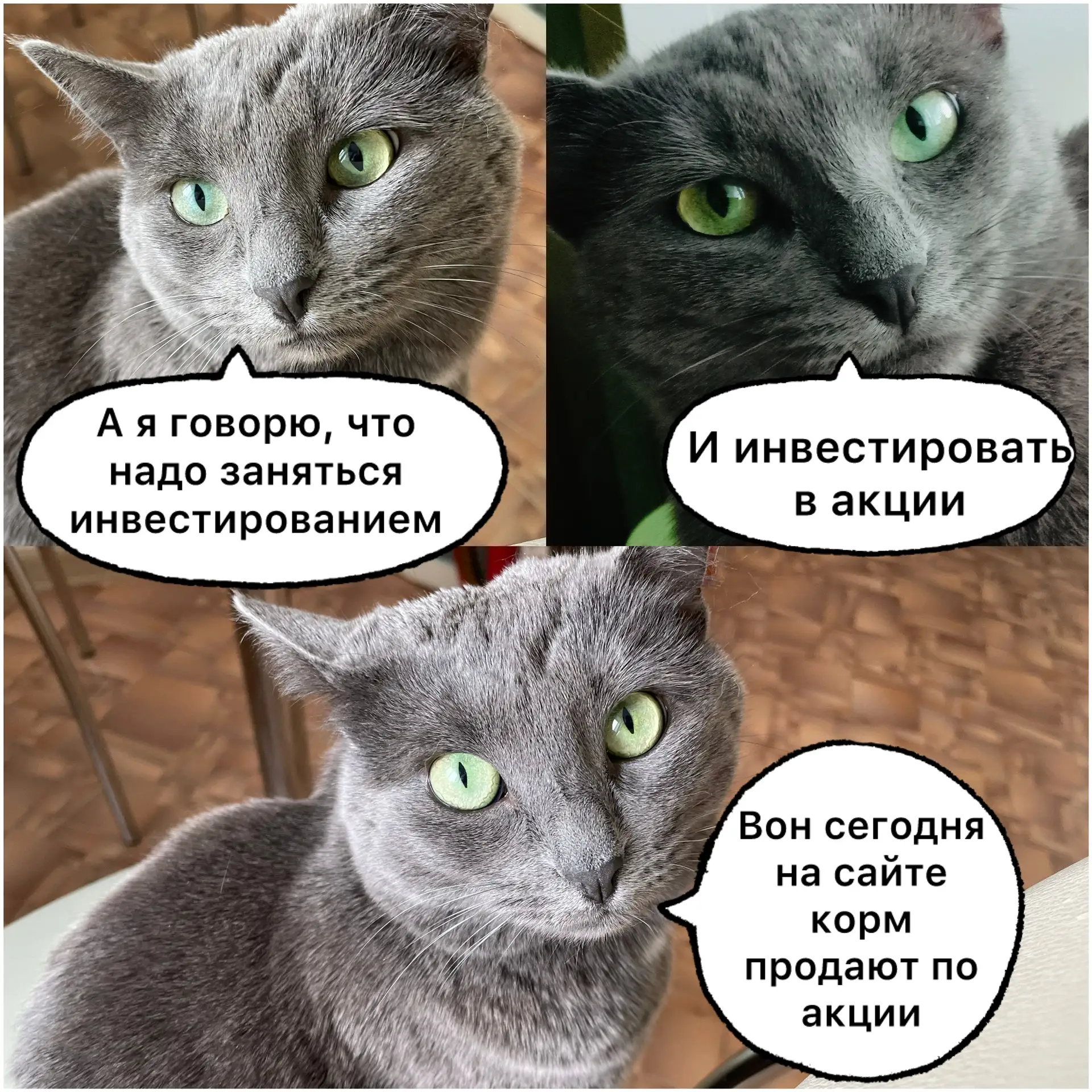 Самое время инвестировать 😁В правильные акции😼