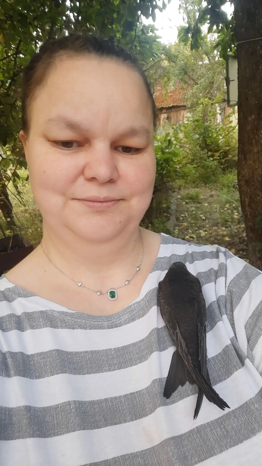 Что выросло 🌳