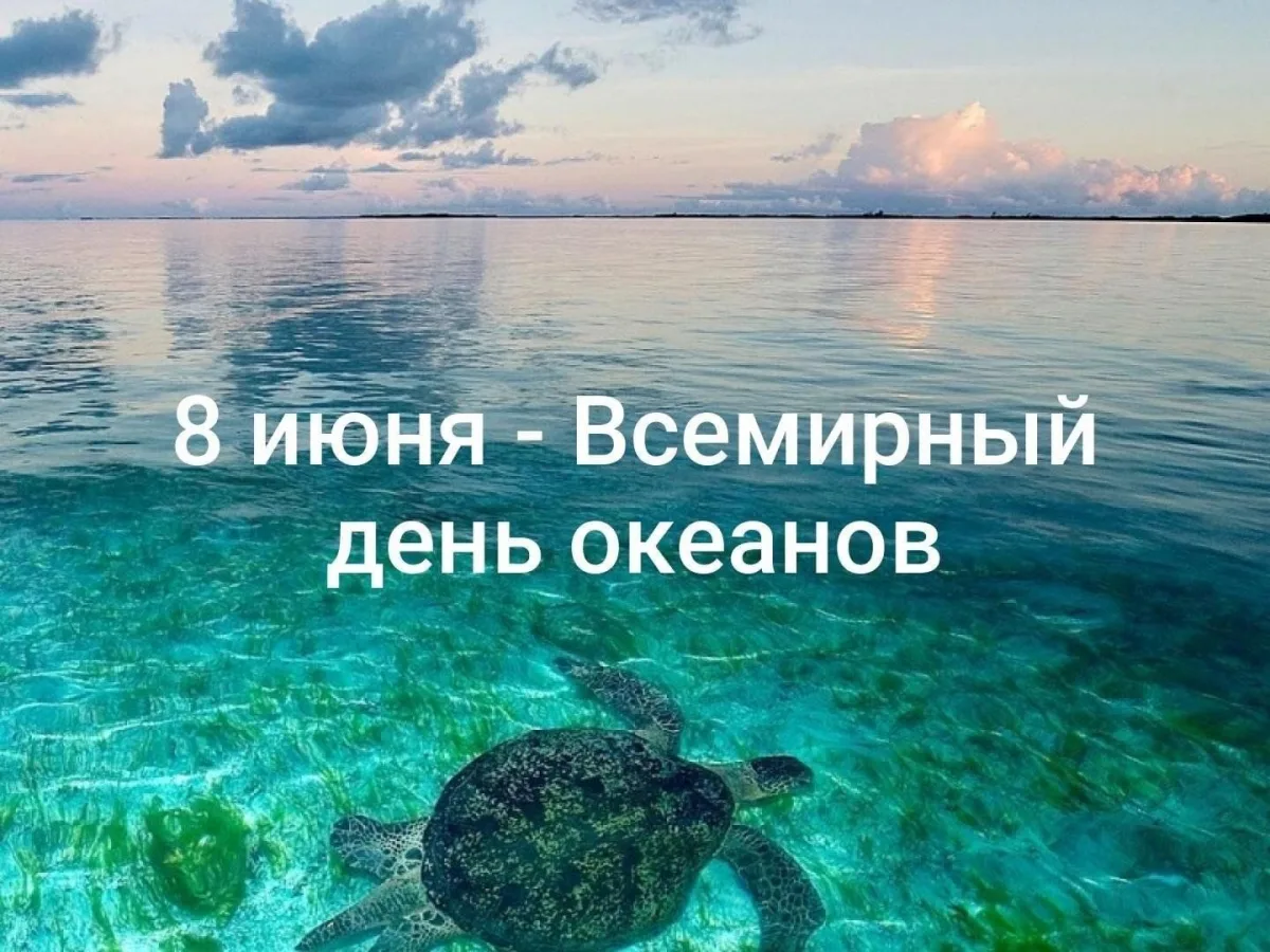 🐚 Всемирный день океана 🌊