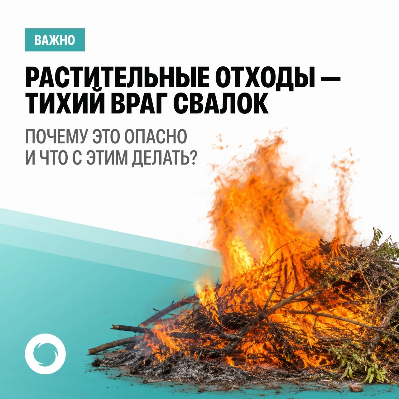 Растительные отходы - тихий враг свалок: почему это опасно и что с этим делать?