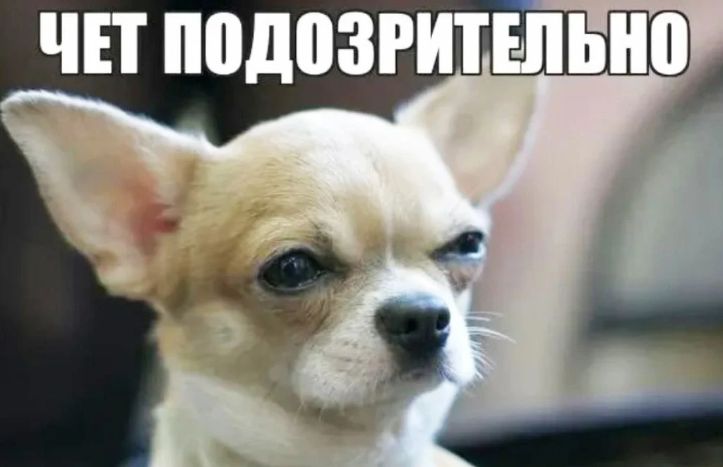 MAX активно чистит подозрительные аккаунты, показывает предупреждения о звонках с неизвестных номеро