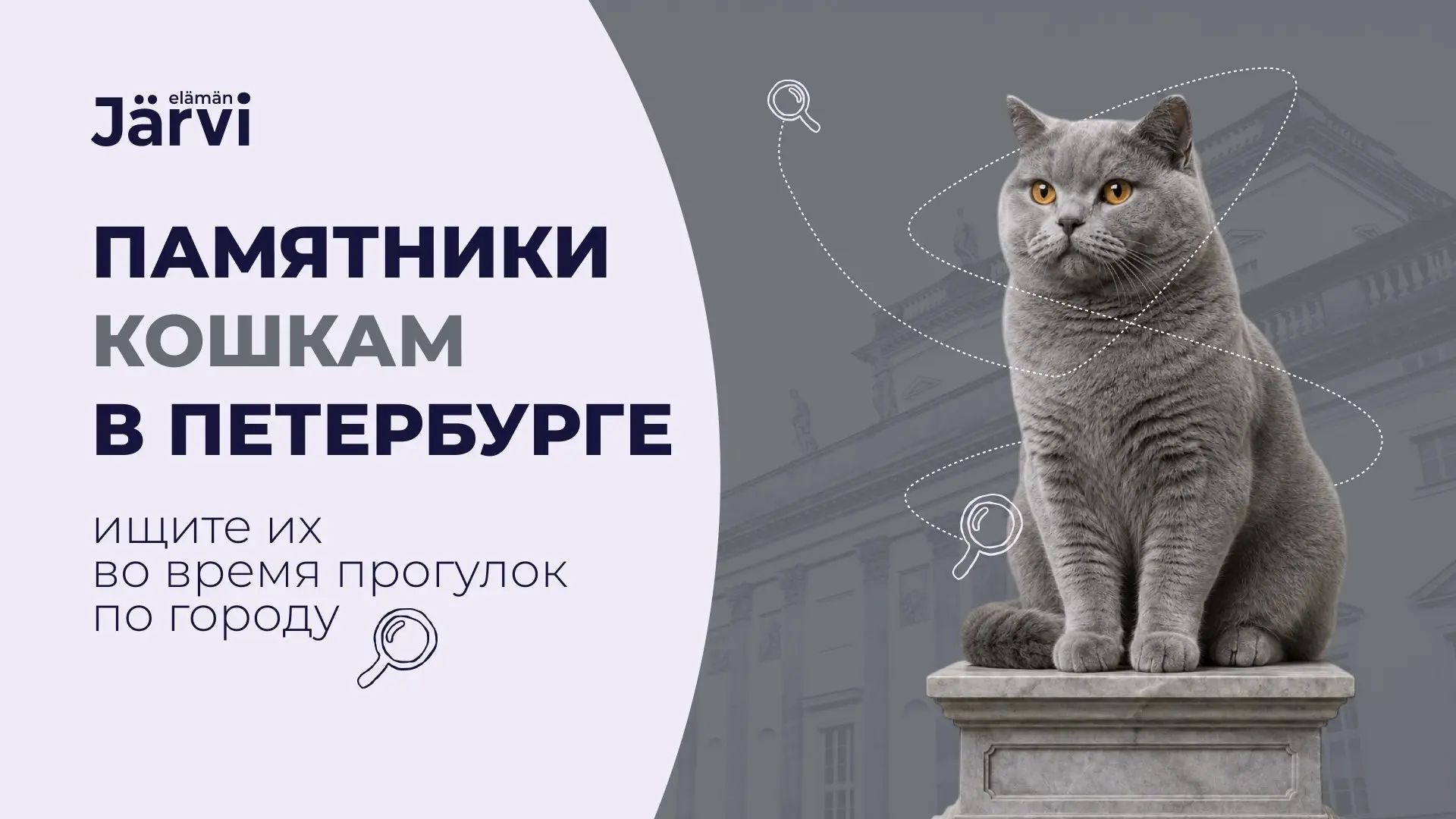 В Петербурге кошкам посвящают не только праздники 🐾