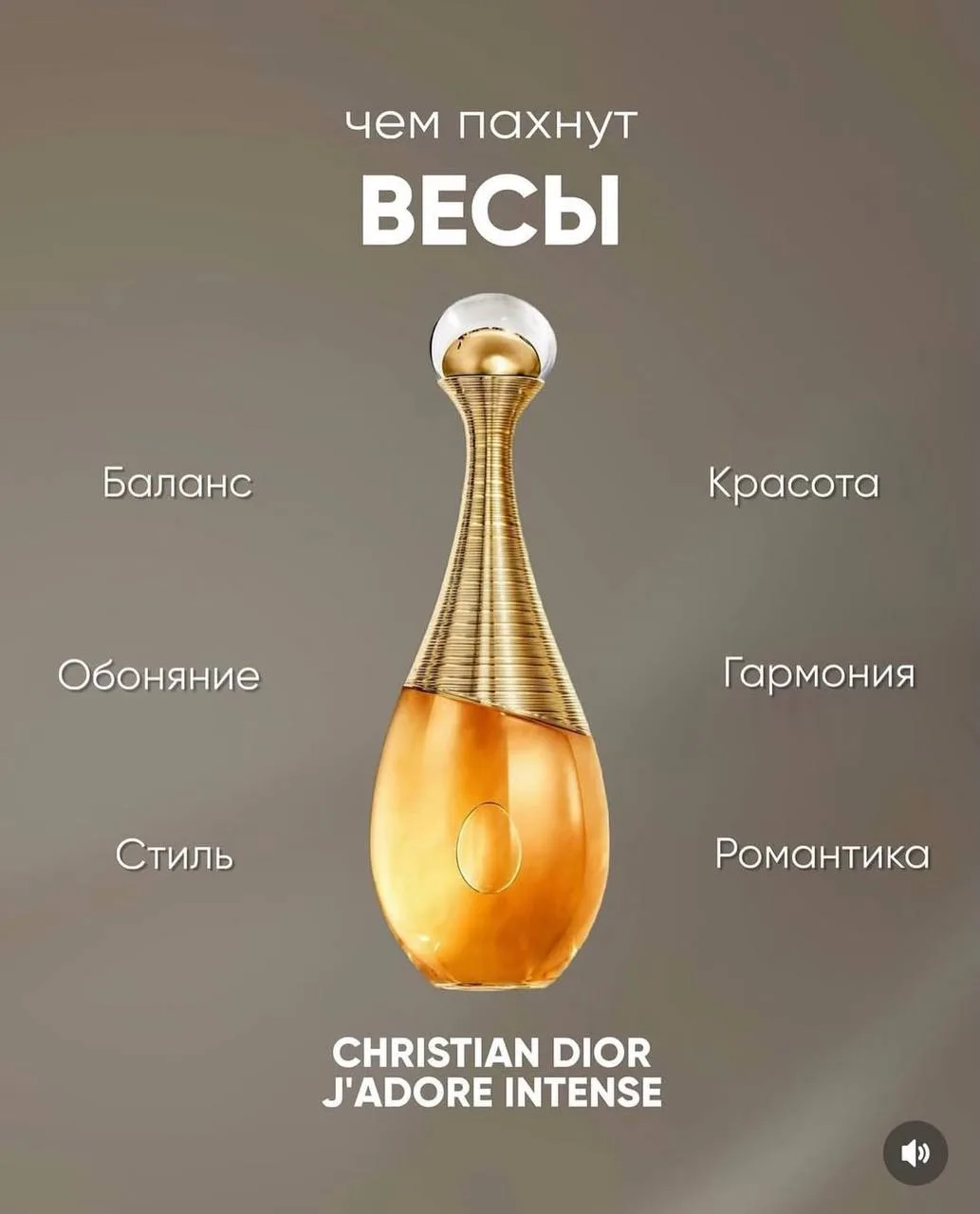 Чем пахнут знаки Зодиака Ч.2

✨Гороскоп - подписаться