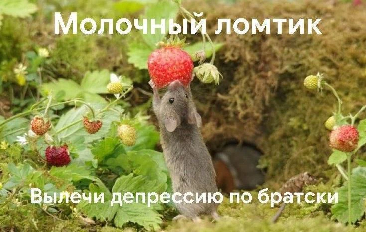 С добрым утром!