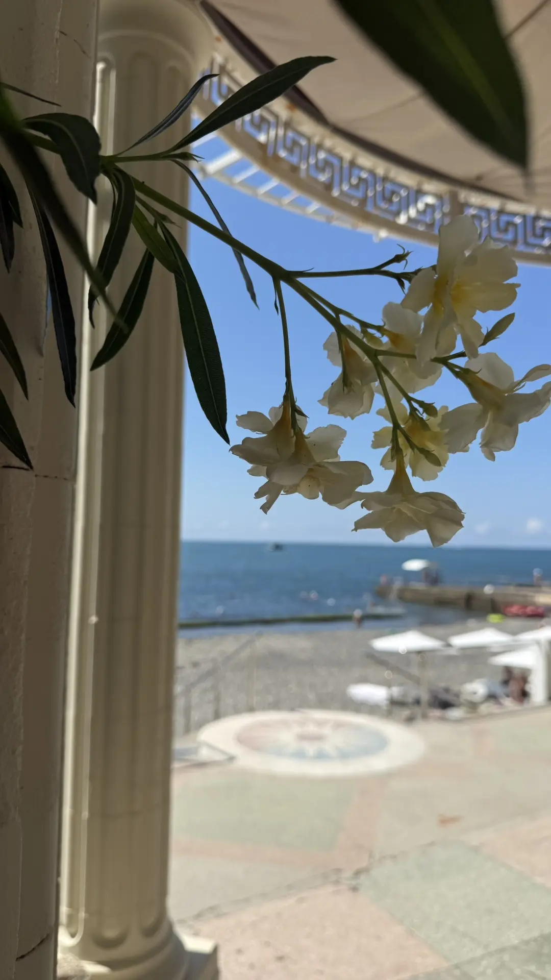 ☀️🌊🌴
