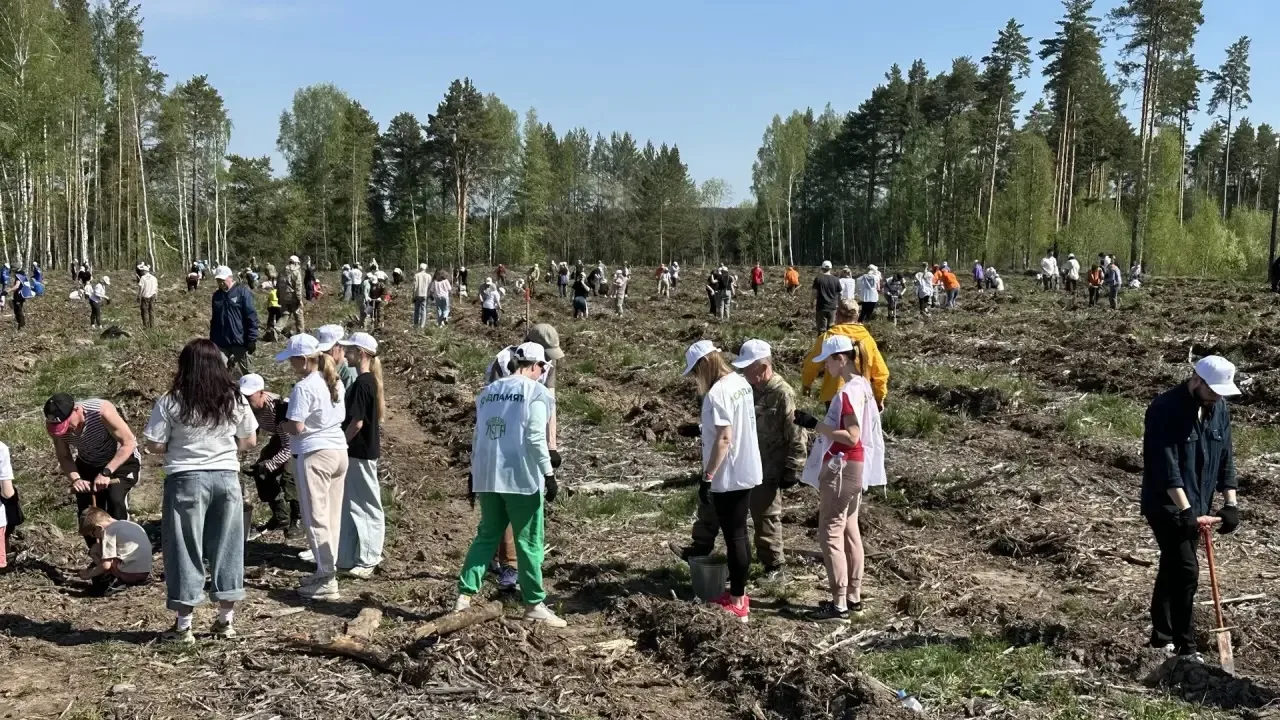 Сегодня в Свердловской области прошла международная акция «Сад памяти», приуроченная к ...