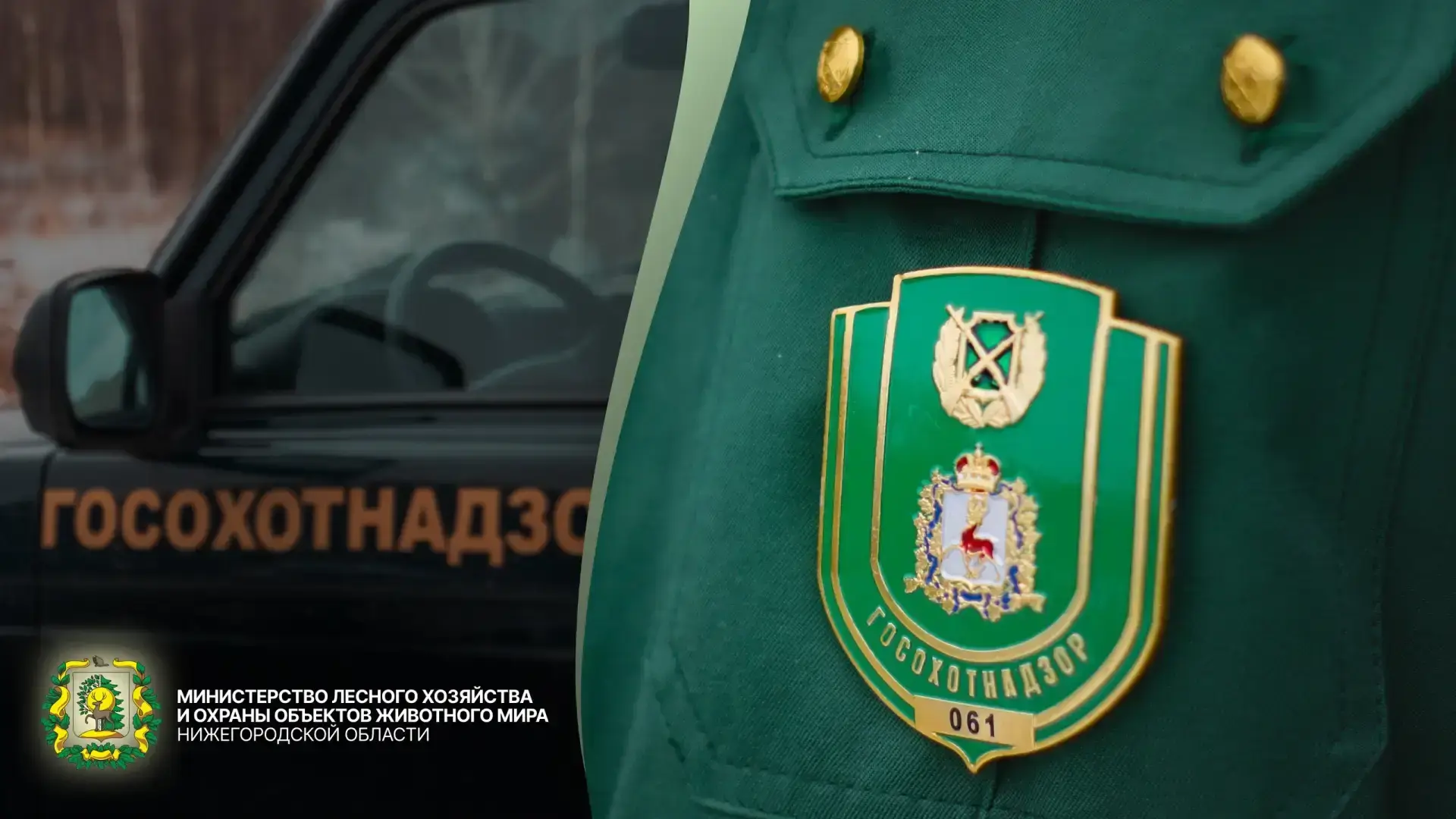 Деятельность госохотнадзора в цифрах.
