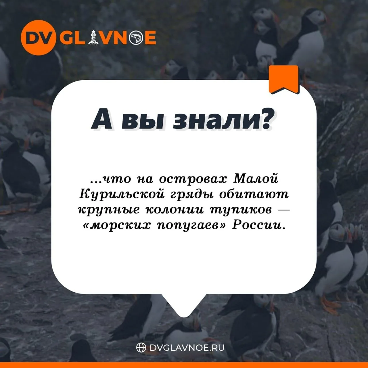 А Вы знали? 

#авызнали_DV_Glavnoe #а_вы_знали?

🟠Подписаться на канал | Наш сайт | Написать нам
🤖