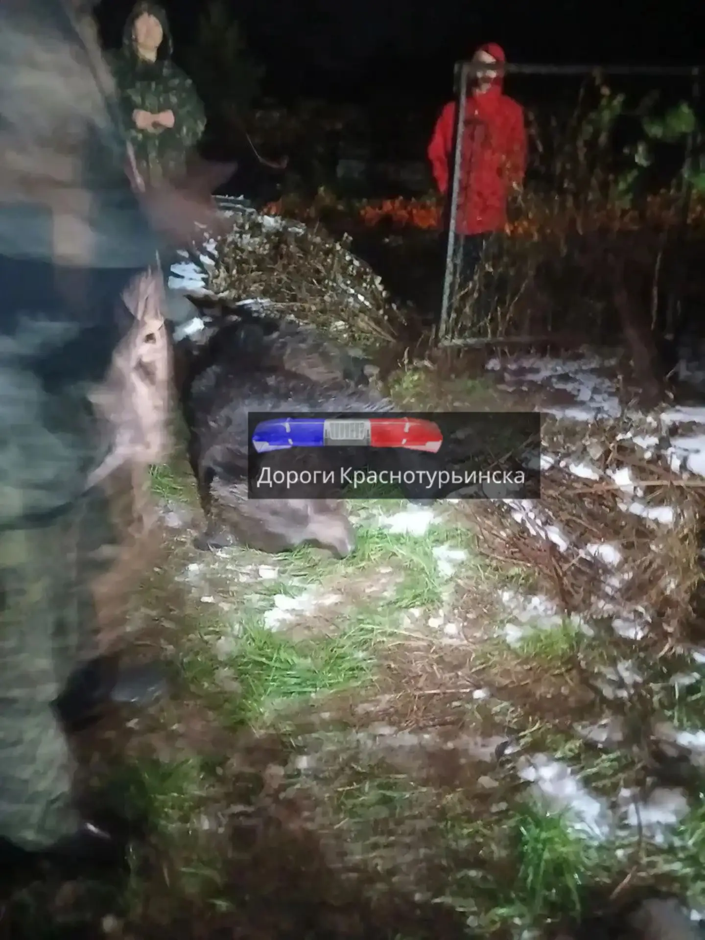 Отстрел мишек п. Рудничный
