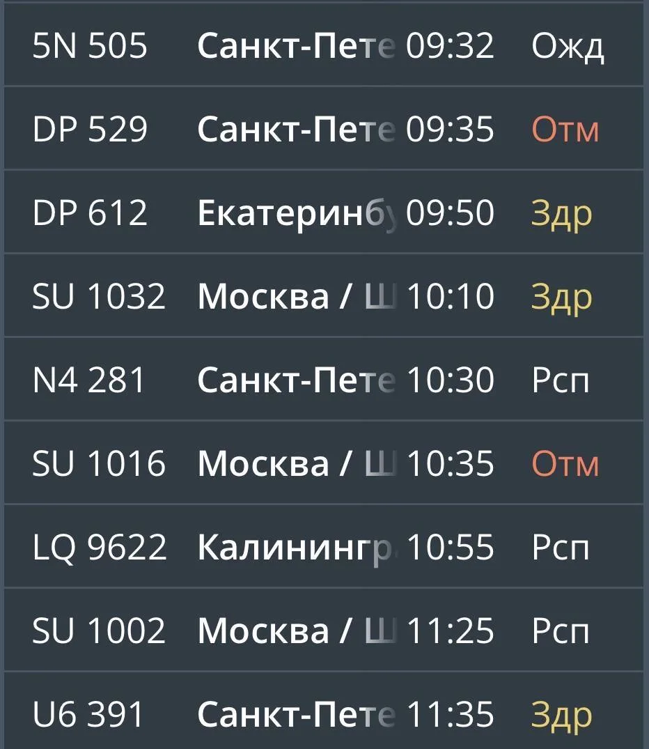 В аэропорту Калининграда отменили и задержали рейсы — максимальное время ожидания достигает почти во