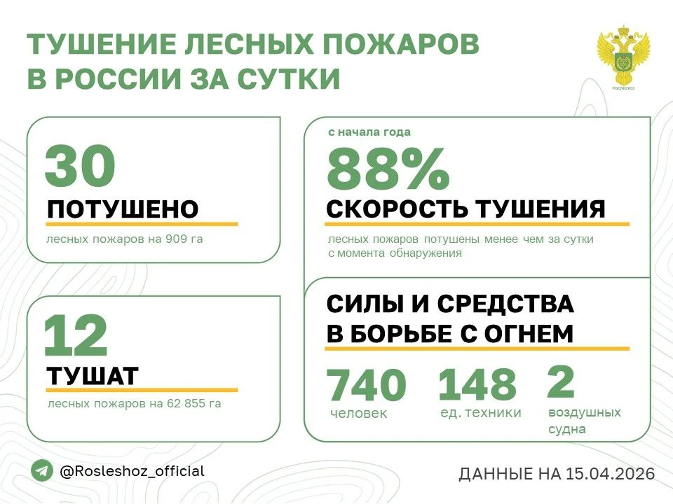 🟢 За прошедшие сутки в 9 регионах России потушили 30 лесных пожаров.  Продолжается тушение 12 лесных