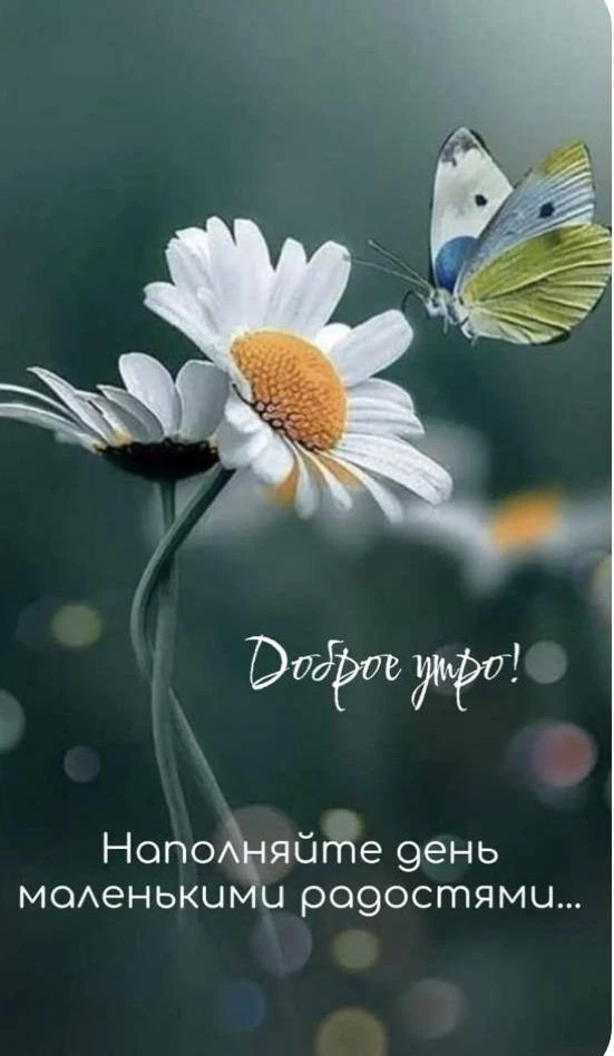 🙋‍♀️🥰😊🌞🤗