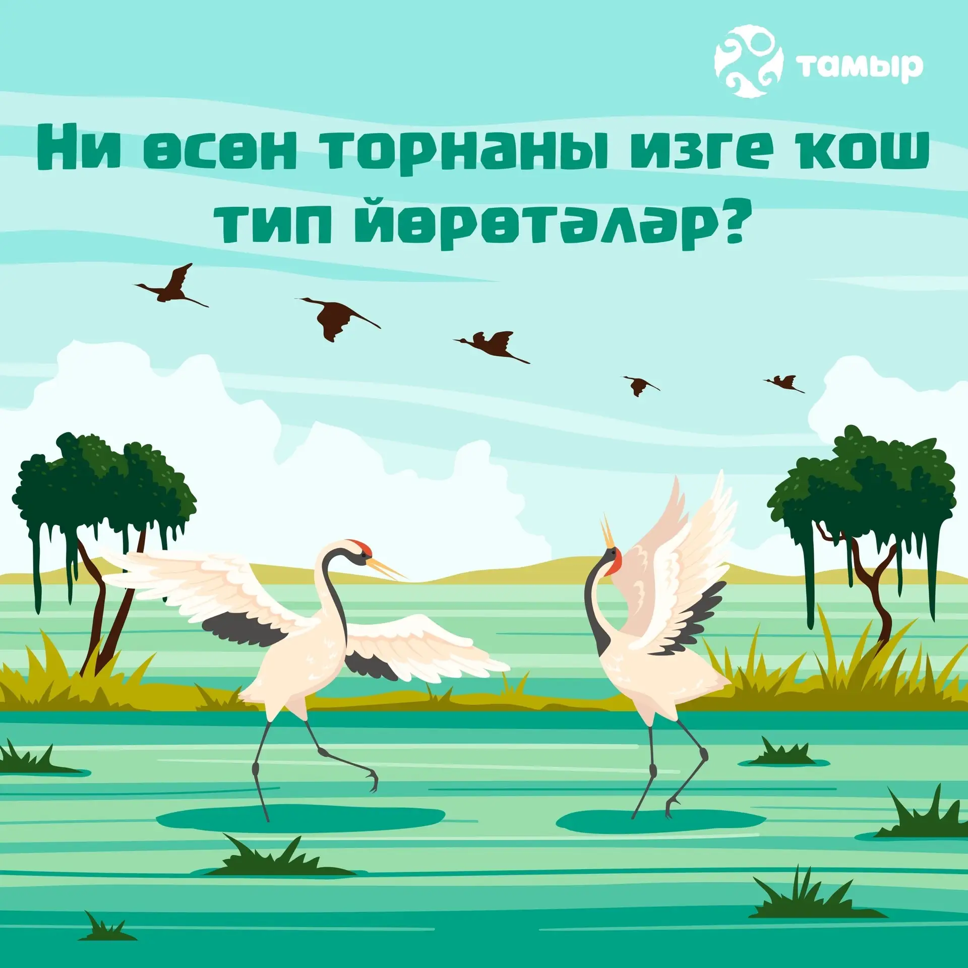 ⭐ Ни өсөн торнаны изге ҡош тип йөрөтәләр?

Борон башҡорттар торнаға табынған. Был хаҡта легенда ла б