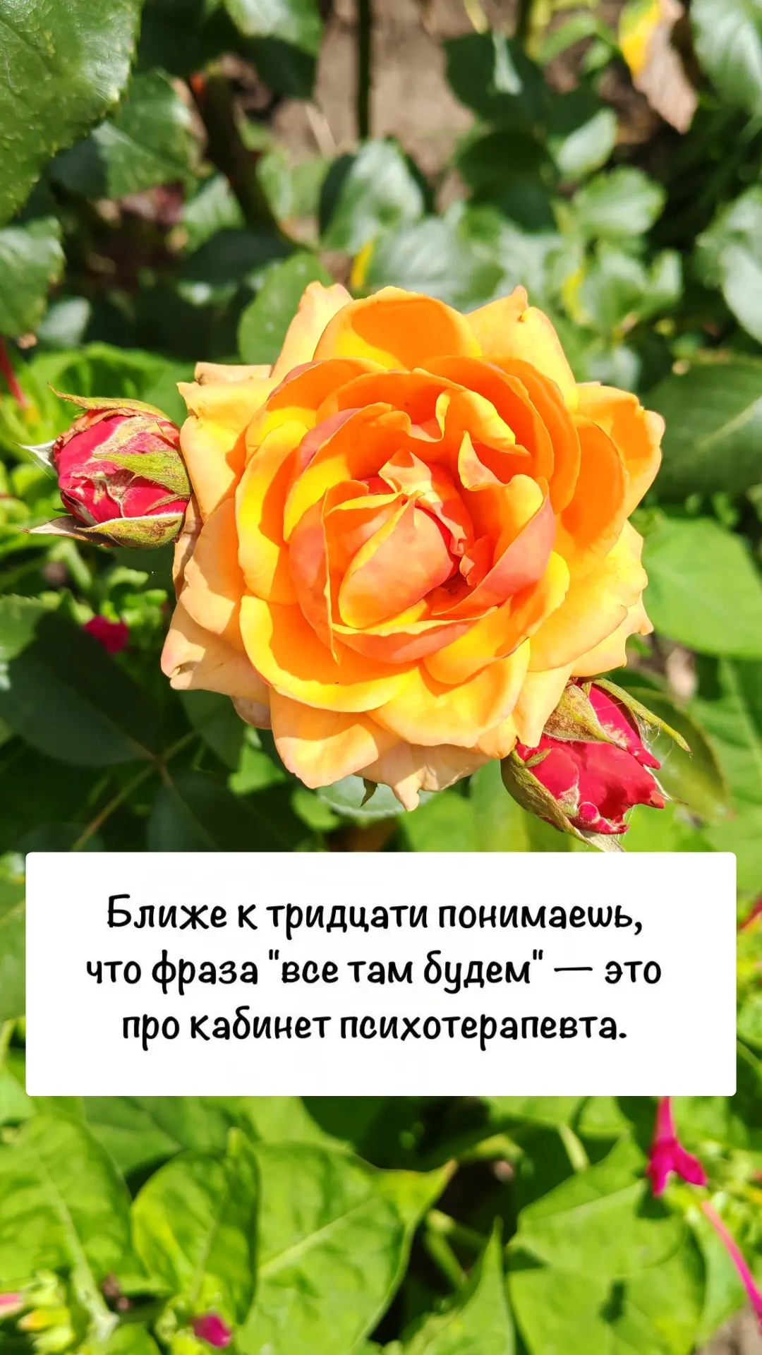 Расстановка по Разделу имущества привела в отношения с мамой...