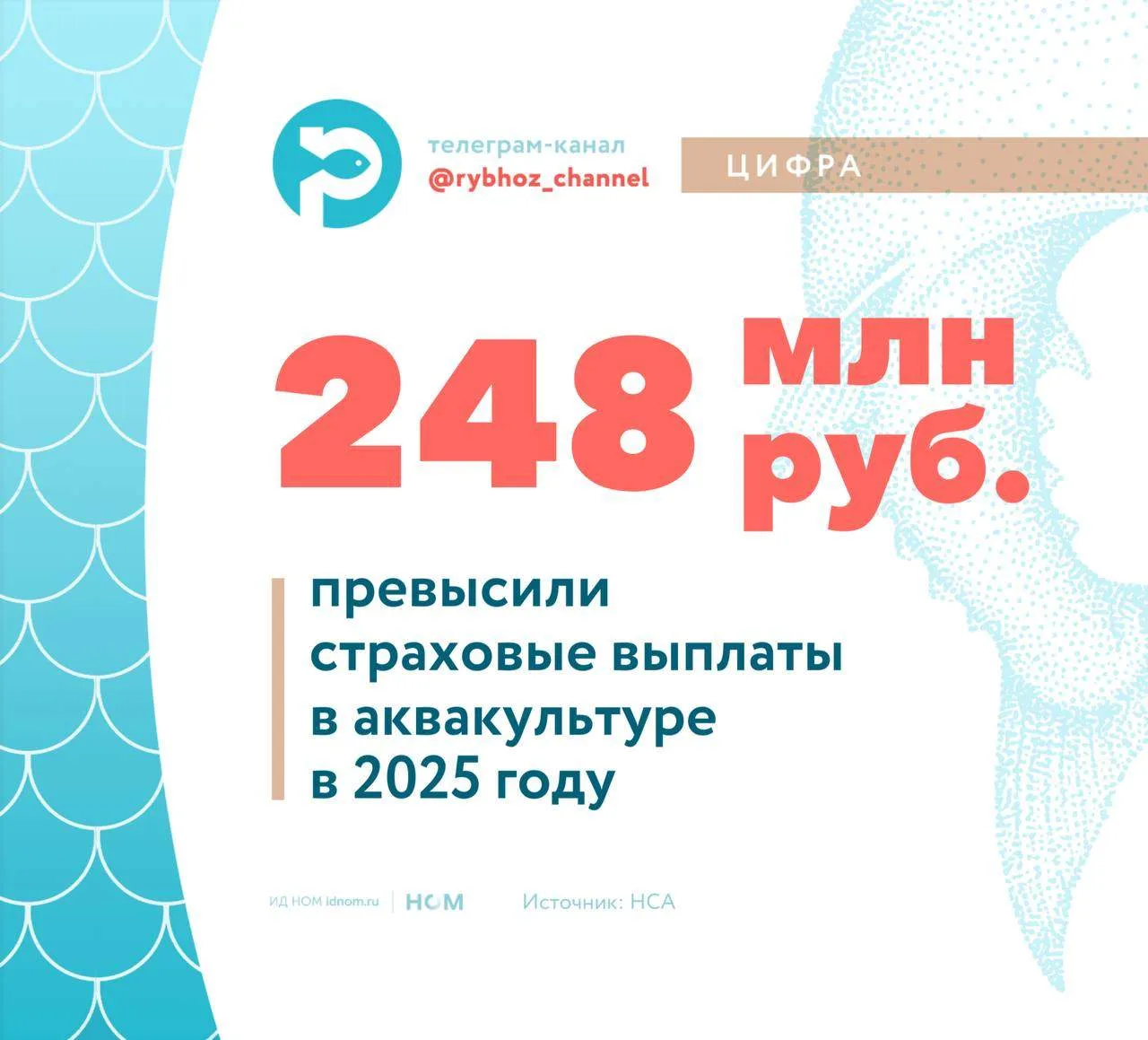Страховые выплаты в аквакультуре за 2025 год превысили 248 млн рублей.