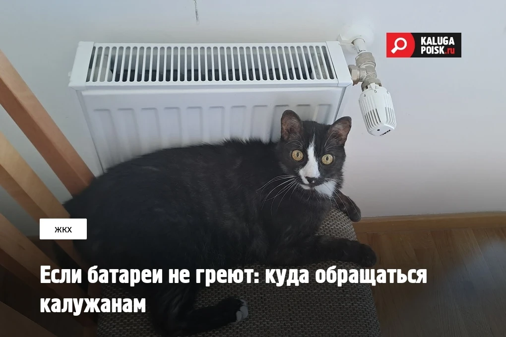 Отопление в домах Калужской области начинают включать: куда жаловаться, если батареи ос...
