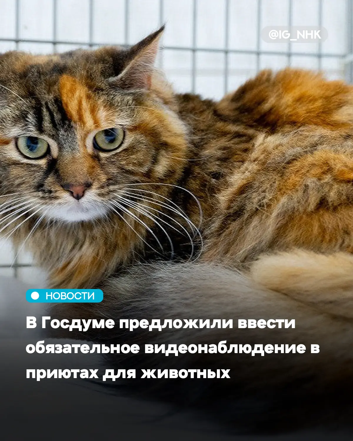 Депутаты Госдумы от фракции «Новые люди» предложили установить обязательное видеонаблюд...