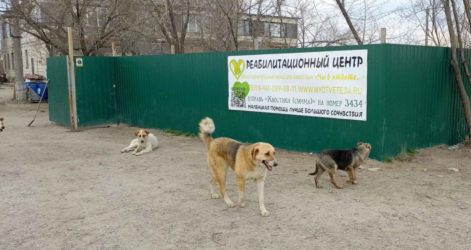 Сегодня хоть немного убрали за людьми-свиньями, которые любят останавливаться возле нас...