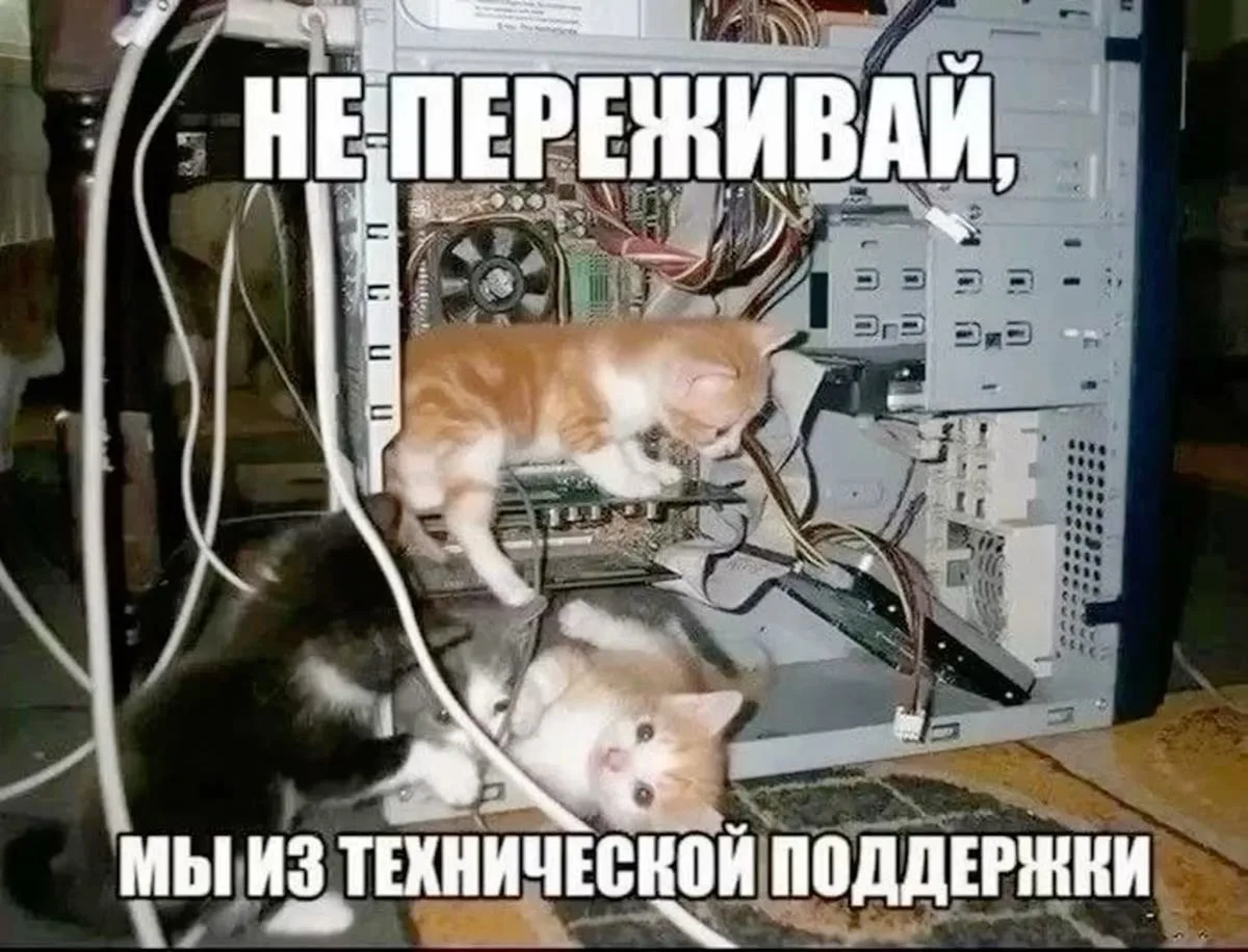 🛠 Сантехника вызывали заказывали: На Wildberries появилась вкладка для поиска специали...