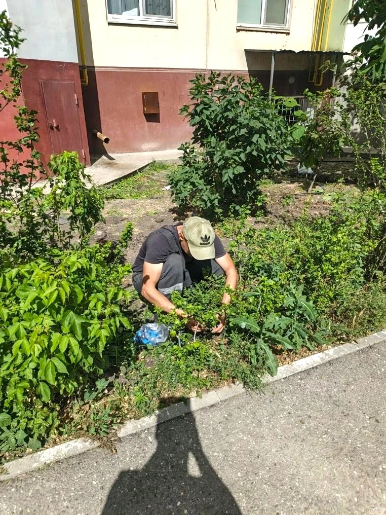 К новости «🌿 Зеленый оазис у дома: монтируем систему автополива!»