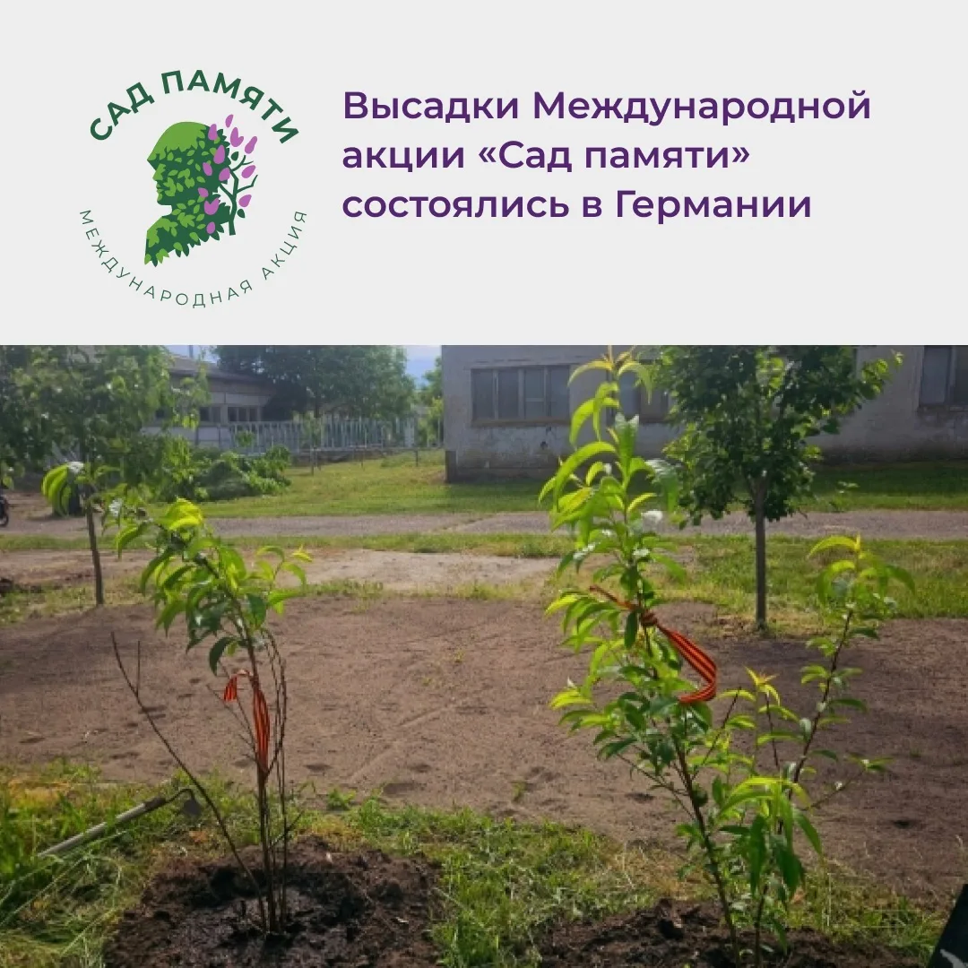 Память советских солдат почтили в ходе высадки деревьев в Германии

В немецком Шлезвиг-Гольштейне у 