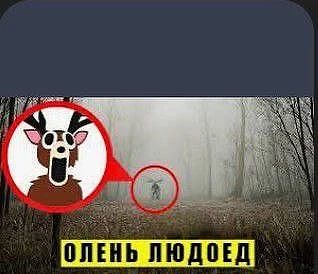 Он чет оживел немножко
