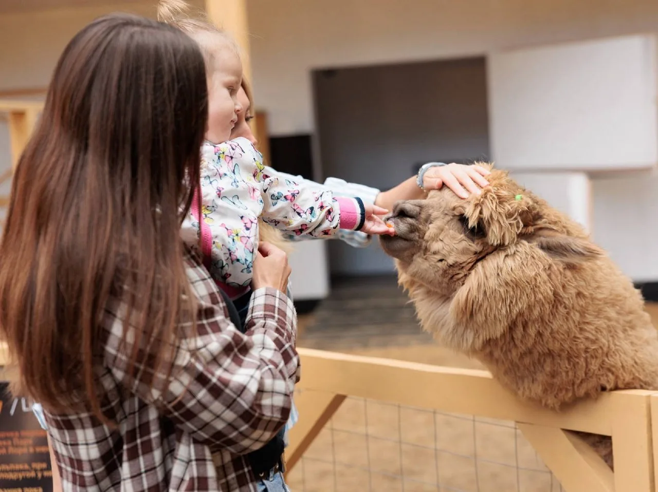 🦙 Детям - бесплатный вход в «Альпака Парк»