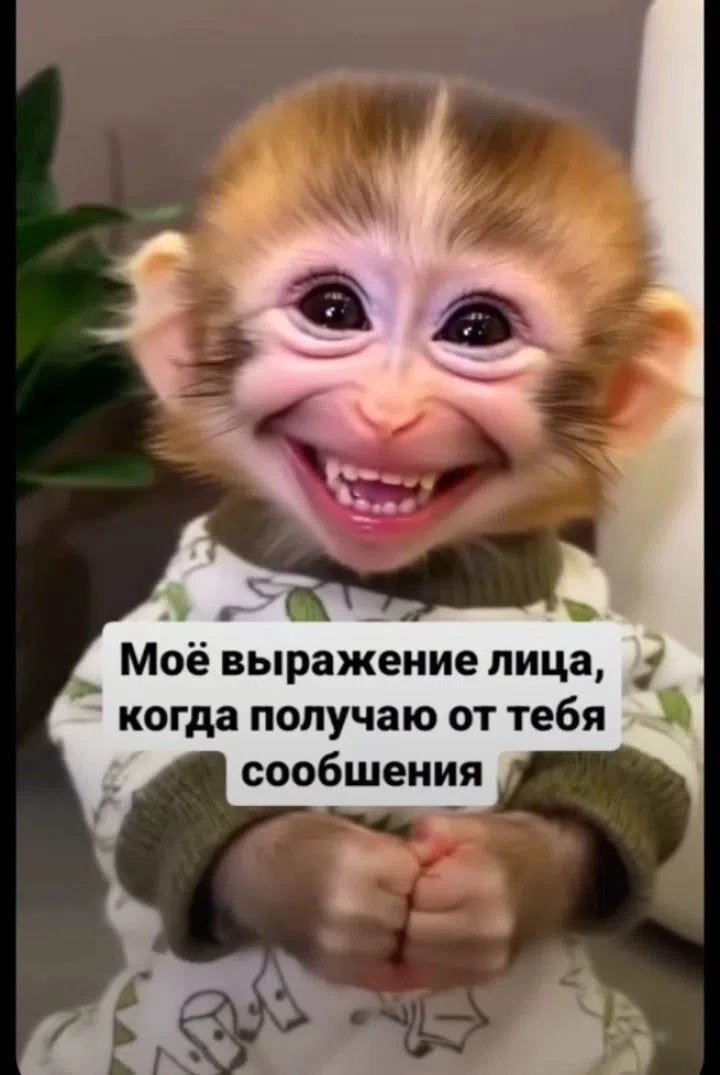 Открытки на каждый день 🎀