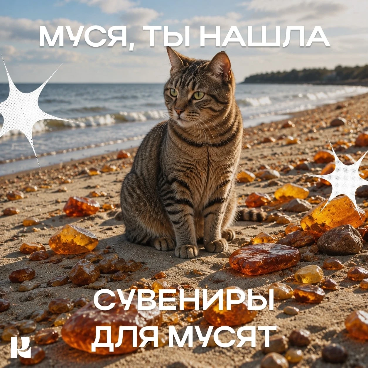 🐈 Муся прогулялась по Калининградской области 

🌲 Правда, лапки устали, зато нос нанюхался балтийс