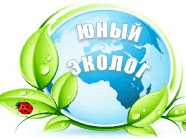 Ученики 1 класса в рамках работы кружка «Юный эколог» отправились на познавательную про...