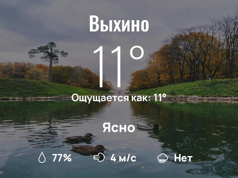 Что с погодой в Выхино?