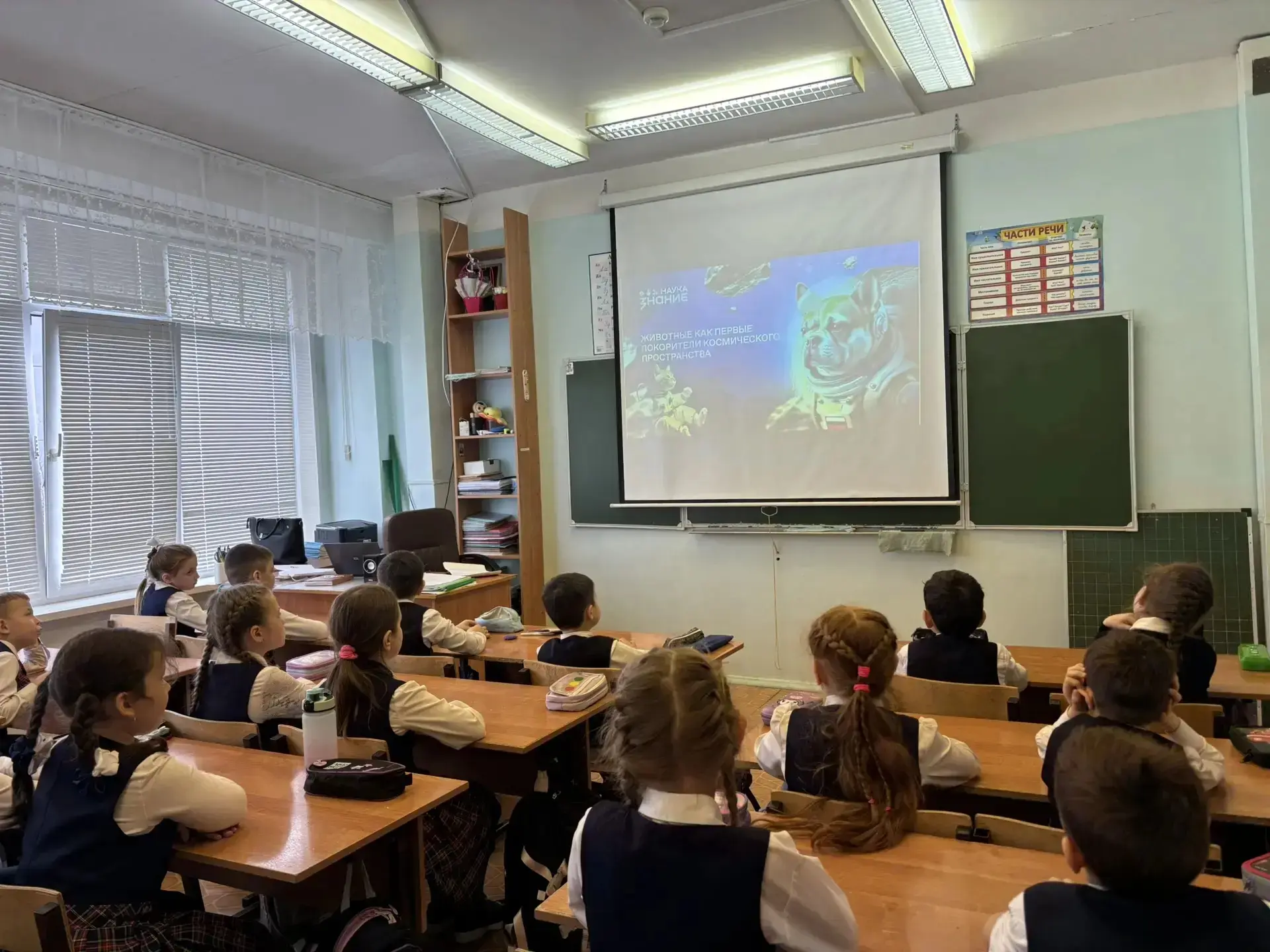 🚀🐭 «Животные — первые покорители космоса»: интересный разговор в 1 «Г» классе 🐶🛸  На этой неделе в р