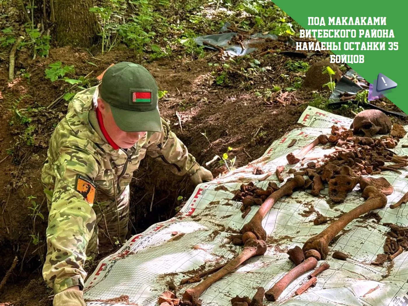 В Витебском районе найдены останки 35 бойцов Красной армии